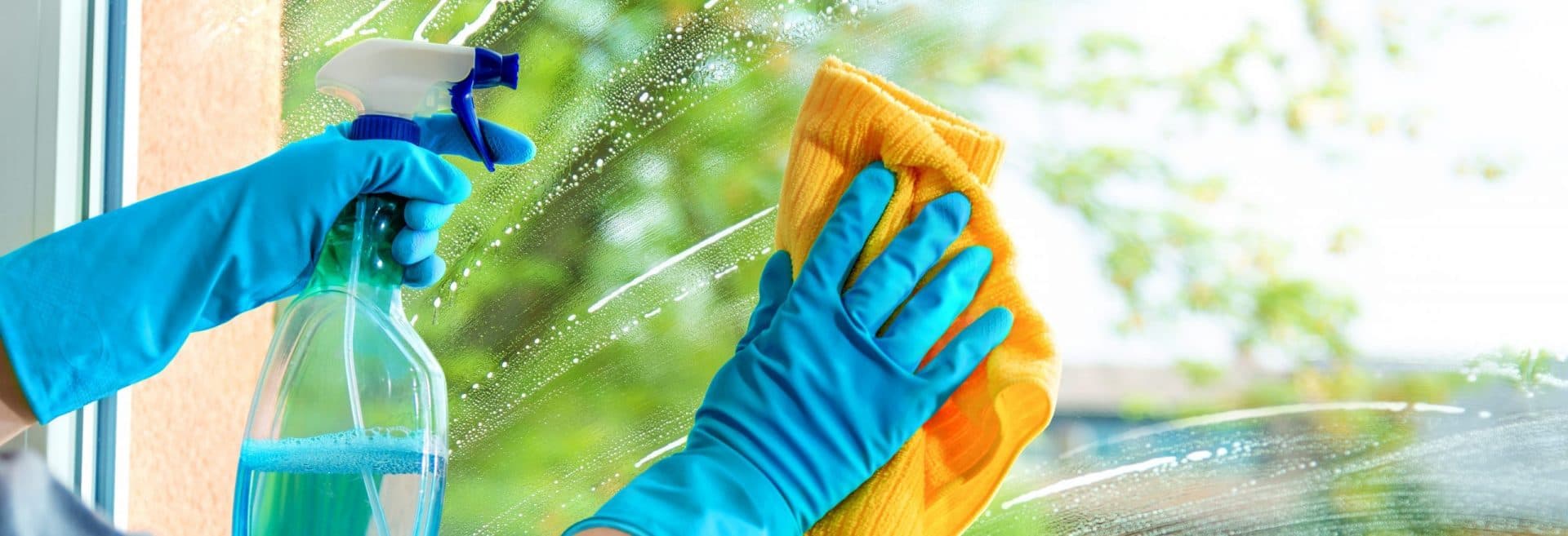 home window cleaning texas best dfw austin texas