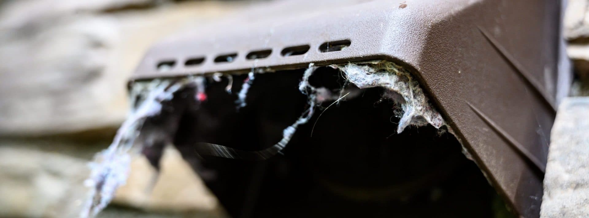 dryer vent cleaning texas best dfw