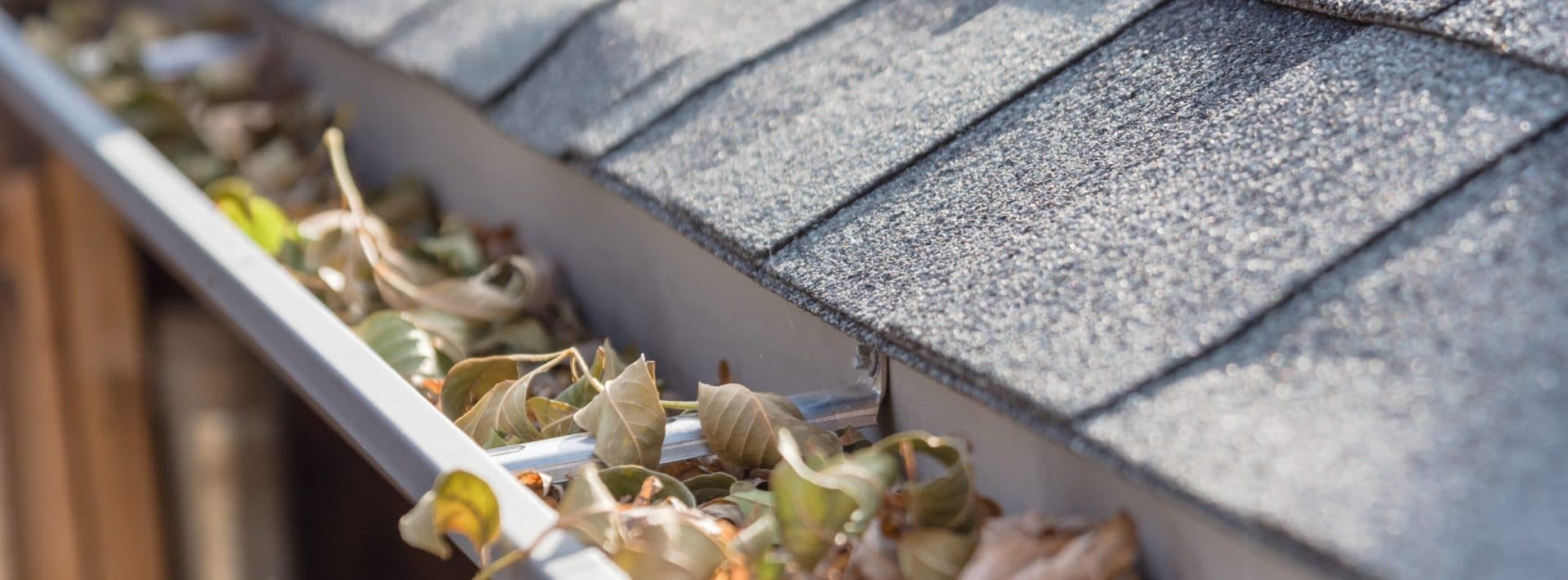 texas best dfw austin gutter cleaning
